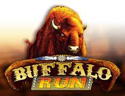 Buffalo Run
